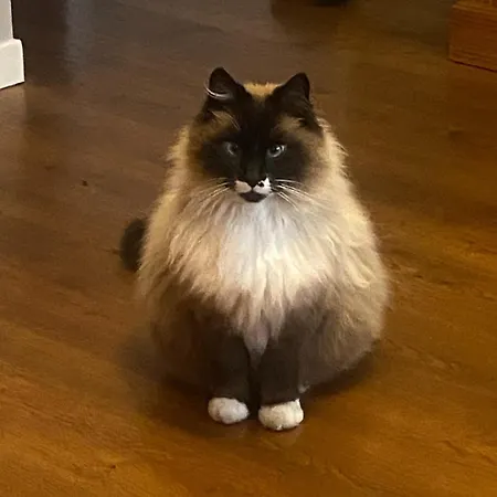 Sous Les Chenes De - Detente Et Teletravail